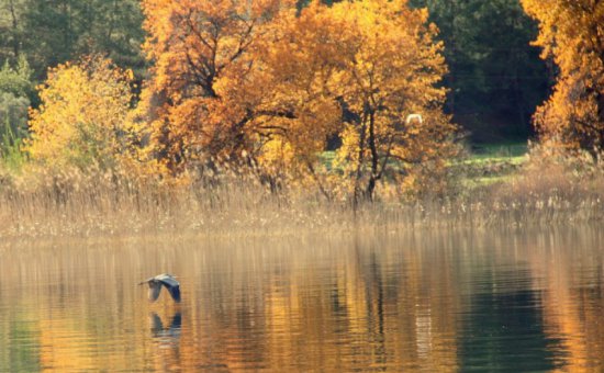 Dalyan Photos